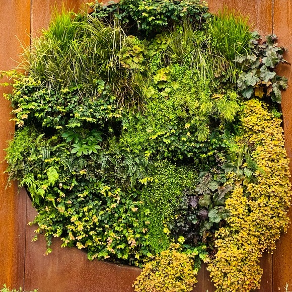 Meet your Posher, Keven - Picture 1 of 1